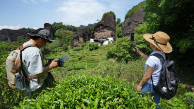 八閩大地的文旅“茗”片