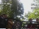 “五一”去哪？：動物不喜歡的“美食節”